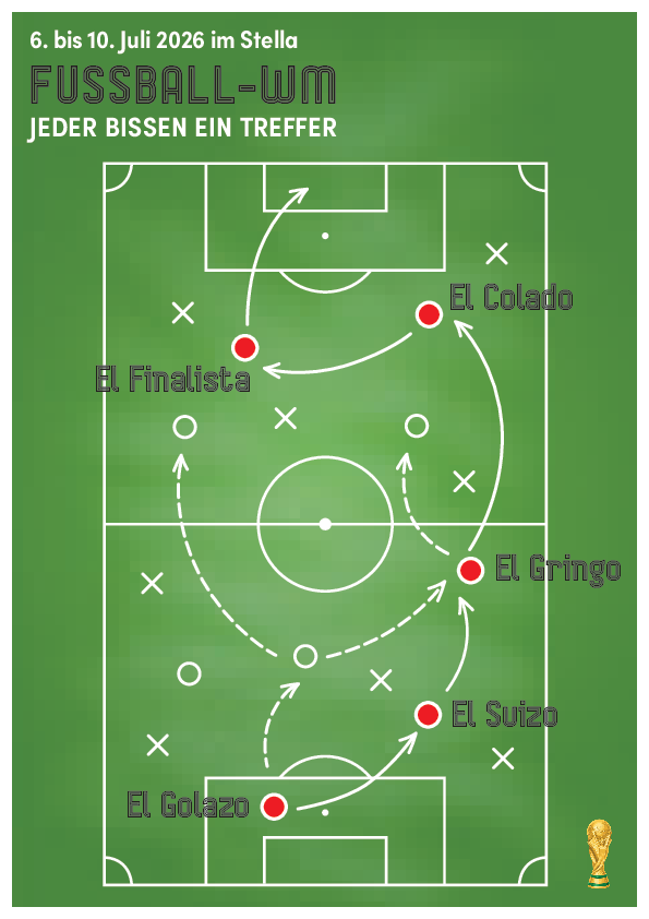 Fussball-WM